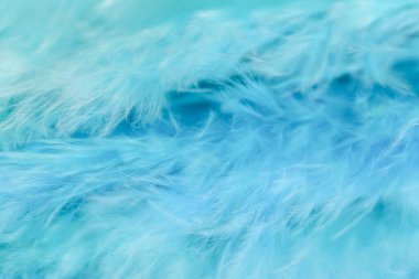 Yumuşak ışık ve yumuşak dokuya sahip tüylü pofuduk turkuaz tüyler. Paskalya görselleri, spa ve sağlıklı markalar, cilt reklamları, web sitesi geçmişleri, meditasyon içeriği, paketleme