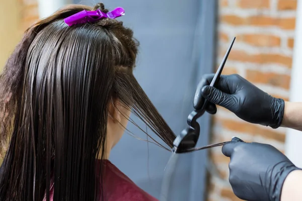 The Barber applies liquid keratin to the client\'s hair. Visit to a hair salon. The concept of hair care, keratin straightening and hair treatment.