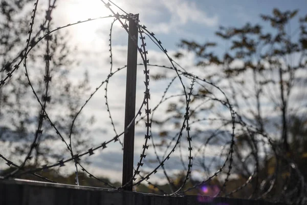 Fence Barbed Wire Background Sky Trees Concept Security Protection Thieves — Stock Photo, Image