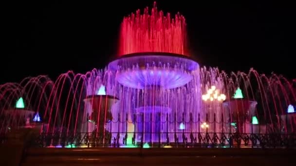 Fuente Colorida Iluminada Noche — Vídeos de Stock