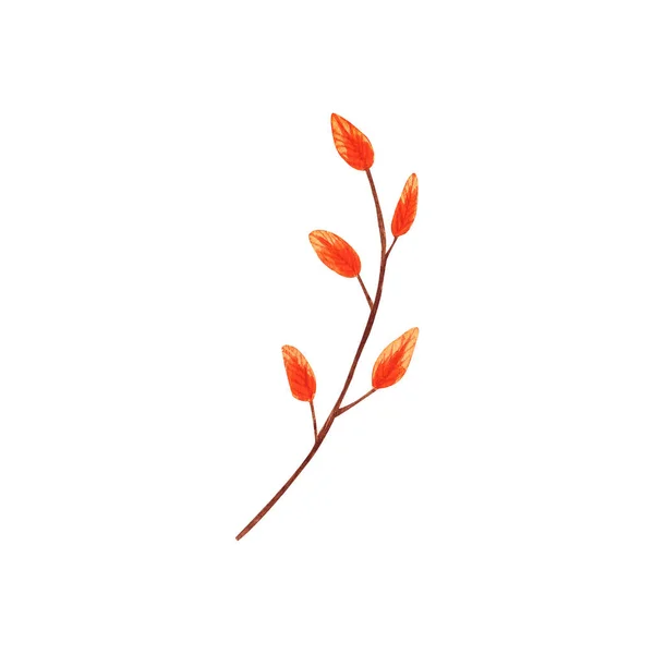 Aquarel met de hand getekende herfst oranje tak met bladeren geïsoleerd op witte achtergrond. Kunst creatieve natuur object illustratie — Stockfoto