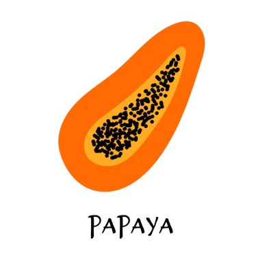 Elle çizilmiş düz biçimdeki olgun papaya 'nın vektör çizimi.