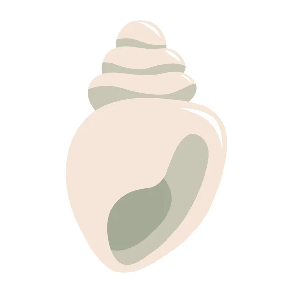 Vektorillustration der Muschel im Cartoon-Flach-Stil. Conch isoliert auf weißem Hintergrund — Stockvektor