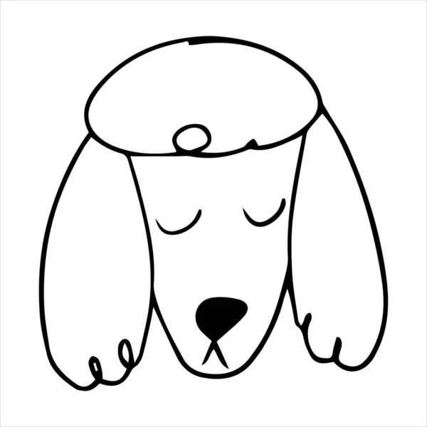 Vektorporträt eines Pudelhundes im Doodle-Cartoon-Stil. Haustier-Illustration im Stil der Kunst — Stockvektor