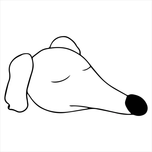 Retrato vectorial de un perro de caza avistamientos en estilo de dibujos animados doodle. Raza borzoi rusa. Ilustración de mascotas en línea estilo de arte — Archivo Imágenes Vectoriales