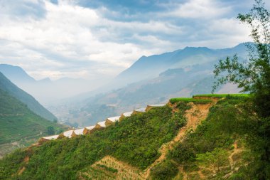 Güzel teraslı pirinç alan Vietnam Lao cai ili