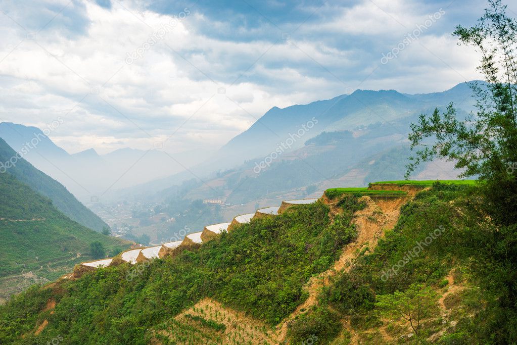 Beautiful terraced rice field in Lao cai province in Vietnam