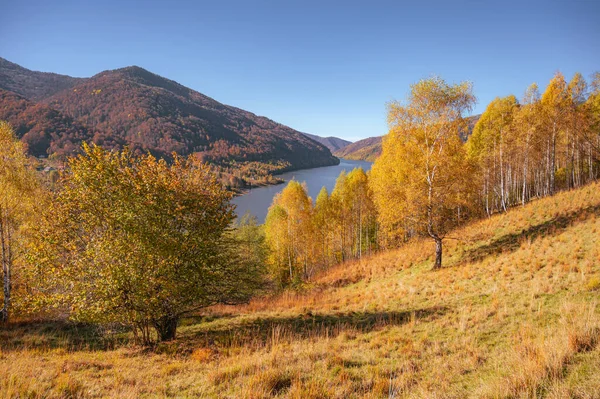 Paisaje Otoño Montaña Con Bosque Colorido — Foto de Stock