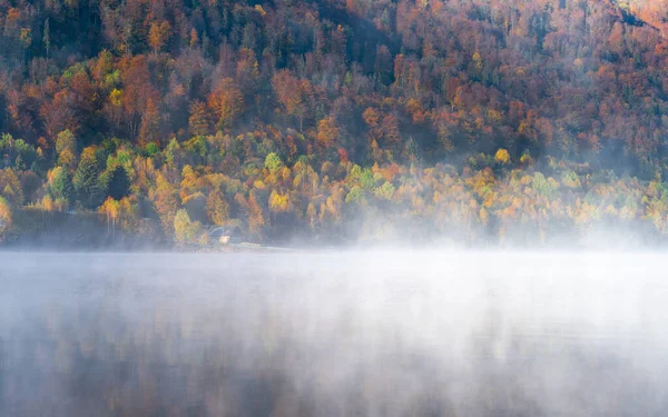 Горный Осенний Пейзаж Красочным Лесом — стоковое фото