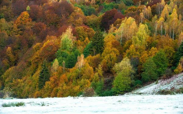 Ορεινό Φθινοπωρινό Τοπίο Πολύχρωμο Δάσος — Φωτογραφία Αρχείου