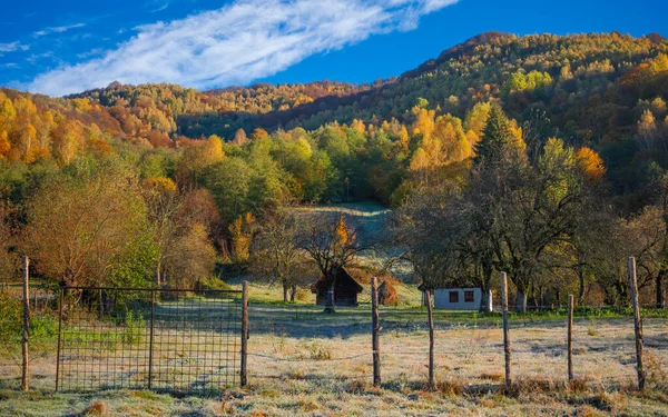 Paisagem Outono Montanha Com Floresta Colorida — Fotografia de Stock