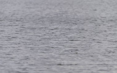 Düzensiz dalga yapısı olan mavi ve turkuaz su