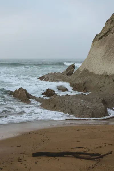 Plaża Formacjami Skalnymi Pochmurny Dzień Bagażnikiem — Zdjęcie stockowe