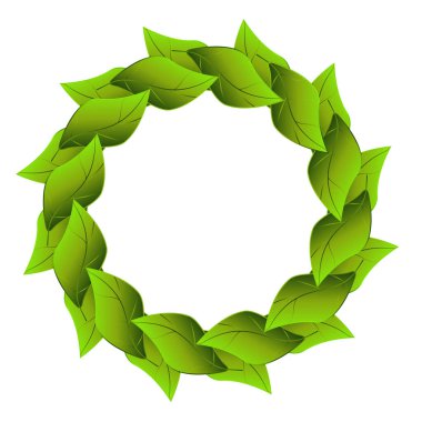 Yeşil yapraklardan yapılmış yuvarlak bir çerçeve ve eğimli dolgu. Beyaz arka planda izole bir element. Vektör illüstrasyonu.