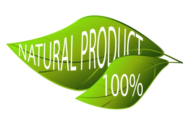 Etichetta Ecologica Verde Prodotto Naturale 100 Due Foglie Verdi Con — Vettoriale Stock