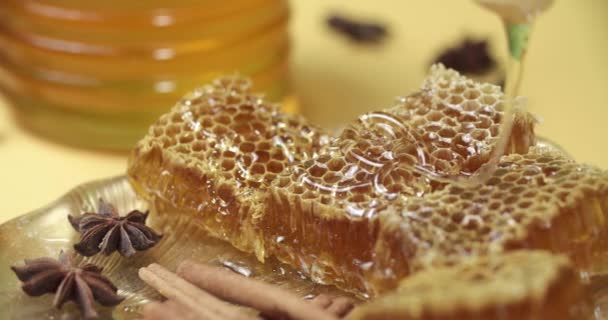 Miel goteando de cuchara de miel de madera en panal — Vídeo de stock