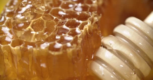 Органічний мед, що викидається на стільницю. Крупним планом постріл, повільний рух — стокове відео