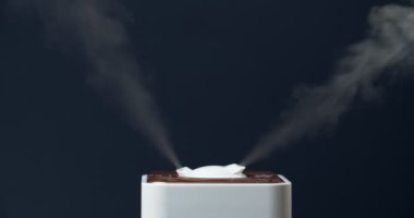İçerideki hava nemlendiricisinde hava artışı var.
