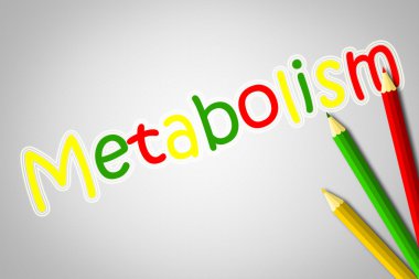 Metabolizma metin arka plan üzerinde