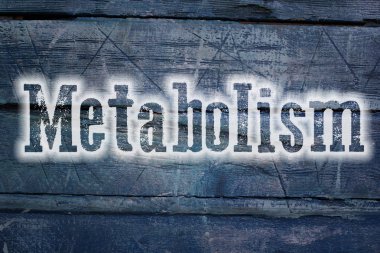 Metabolizma metin arka plan üzerinde