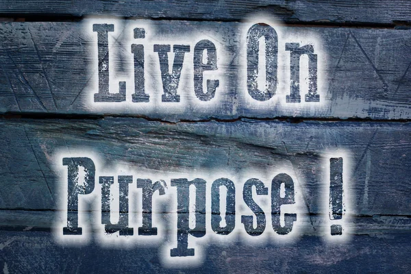 Concept Live On Purpose — Photo