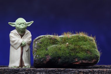 Yoda şekil ve moss. Ekoloji kavramı