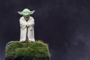 Yoda şekil ve moss. Ekoloji kavramı