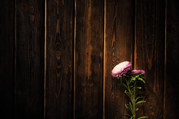 Spring Blossom su sfondo di legno. Fiori su backgroun di legno — Foto Stock