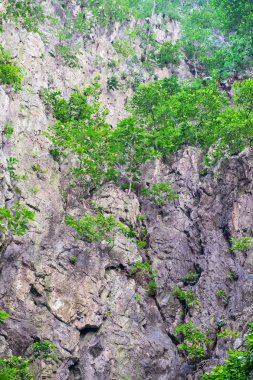 Kuala Lumpur, Malezya Batu Mağara duvarına