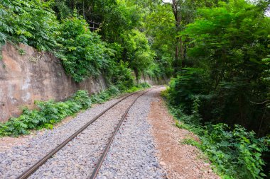 Cliff ve ağaç boyunca eski demiryolu 