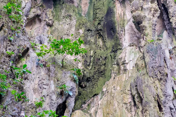 Muro della Grotta di Batu a Kuala Lumpur, Malesia — Foto Stock