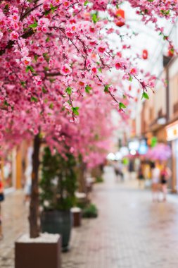 Sahte pembe sakura çiçekler