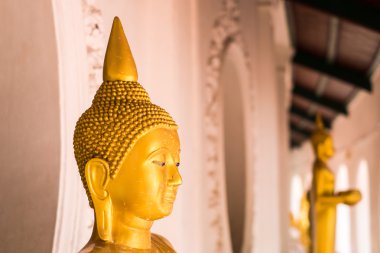 Wat Phra Pathom Chedi Buda heykeli