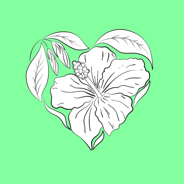 黒と白のハイビスカスの花や葉のハート型の組成物 ミントの背景 バレンタイン ポストカード ロマンチックなカード 他のデザインのための素晴らしいテンプレート — ストックベクタ