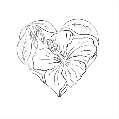 Kalp şeklinde siyah ve beyaz hatlar, beyaz arka planda izole edilmiş amber çiçekleri ve yapraklar. Sevgililer Günü şablonu, tebrik kartı, davetiye, herhangi başka bir tasarım.