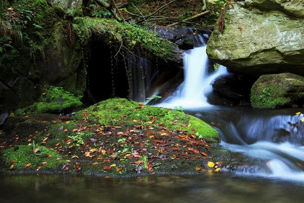 Vattenfall - kaskad i skogen höst — Stockfoto