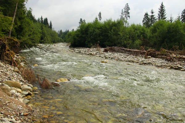 Riverbed rio selvagem na montanha — Fotografia de Stock