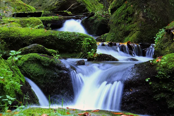 Waterfall - cascade in the autumn forest — Stock Photo, Image