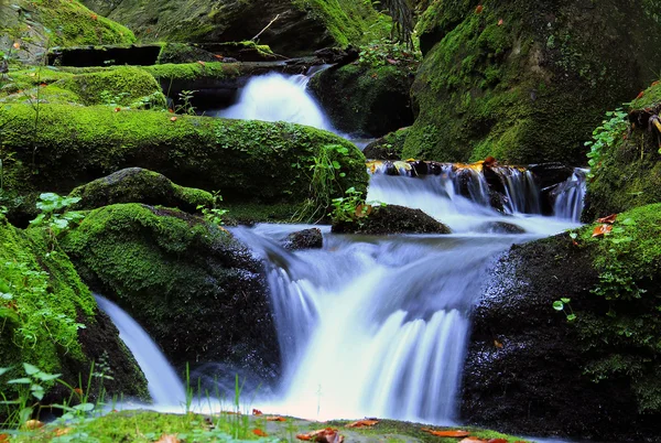 Cascade - cascade dans la forêt d'automne Image En Vente