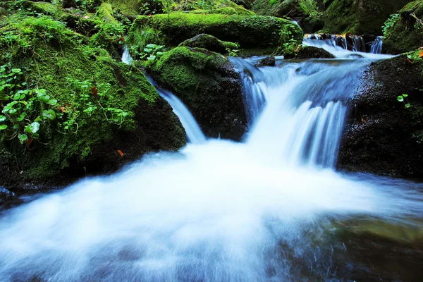 Vattenfall - kaskad i skogen höst — Stockfoto
