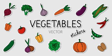 Sebze etiketi seti. Gri arkaplanda gölgeler olan karikatür parçaları koleksiyonu. Sağlıklı yiyeceklerin olduğu renkli çıkartmalar..