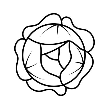 Vektör çizgisi sanat lahana ikonu. Çizgi film tarzında izole edilmiş sebze silueti. Renklendirme için düz basit resim grafiği.