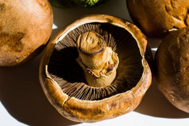 Beyaz arka planda mantar mantarı, stüdyo çekimi. Doku ve makro fotoğrafçılık.