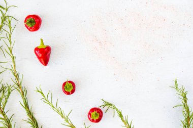 Beyaz arka planda kırmızı biber ve ham biberiye dalları