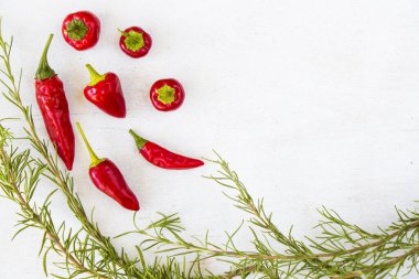 Beyaz arka planda kırmızı biber ve ham biberiye dalları