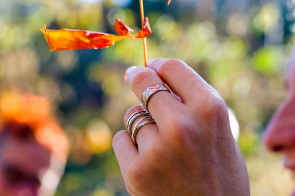 Autumn and fall yellow and red leave close-up, nature background, yellow color leave and hand holding leaf