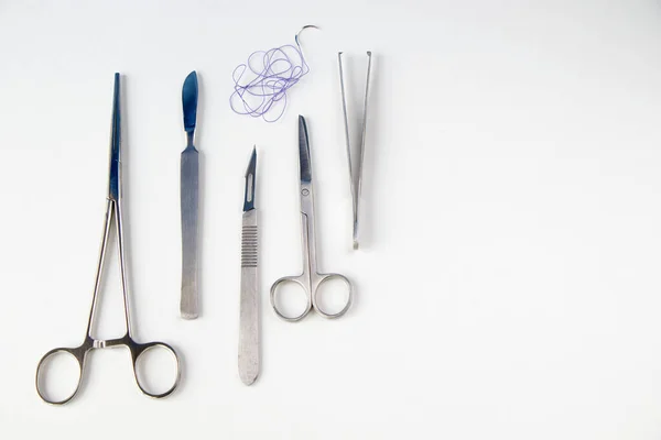 Dissection Kit Roestvrij Staal Gereedschap Voor Medische Studenten Anatomie Biologie — Stockfoto