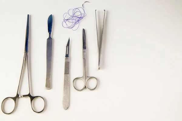 Dissection Kit Roestvrij Staal Gereedschap Voor Medische Studenten Anatomie Biologie — Stockfoto