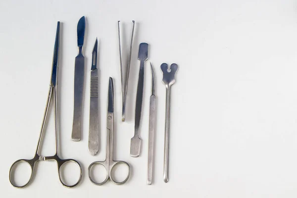 Dissection Kit Roestvrij Staal Gereedschap Voor Medische Studenten Anatomie Biologie — Stockfoto