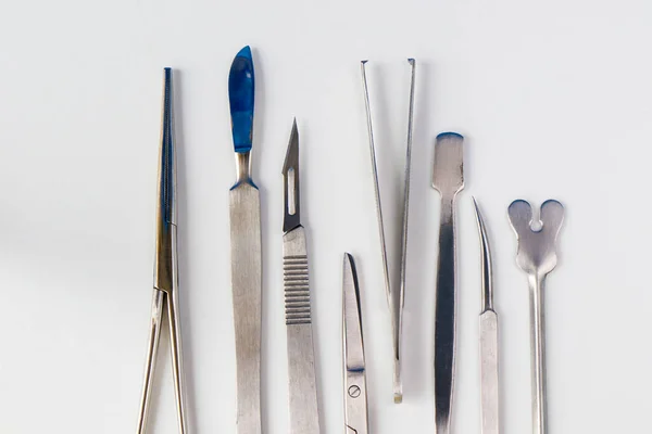 Trousse Dissection Outils Acier Inoxydable Pour Les Étudiants Médecine Anatomie — Photo